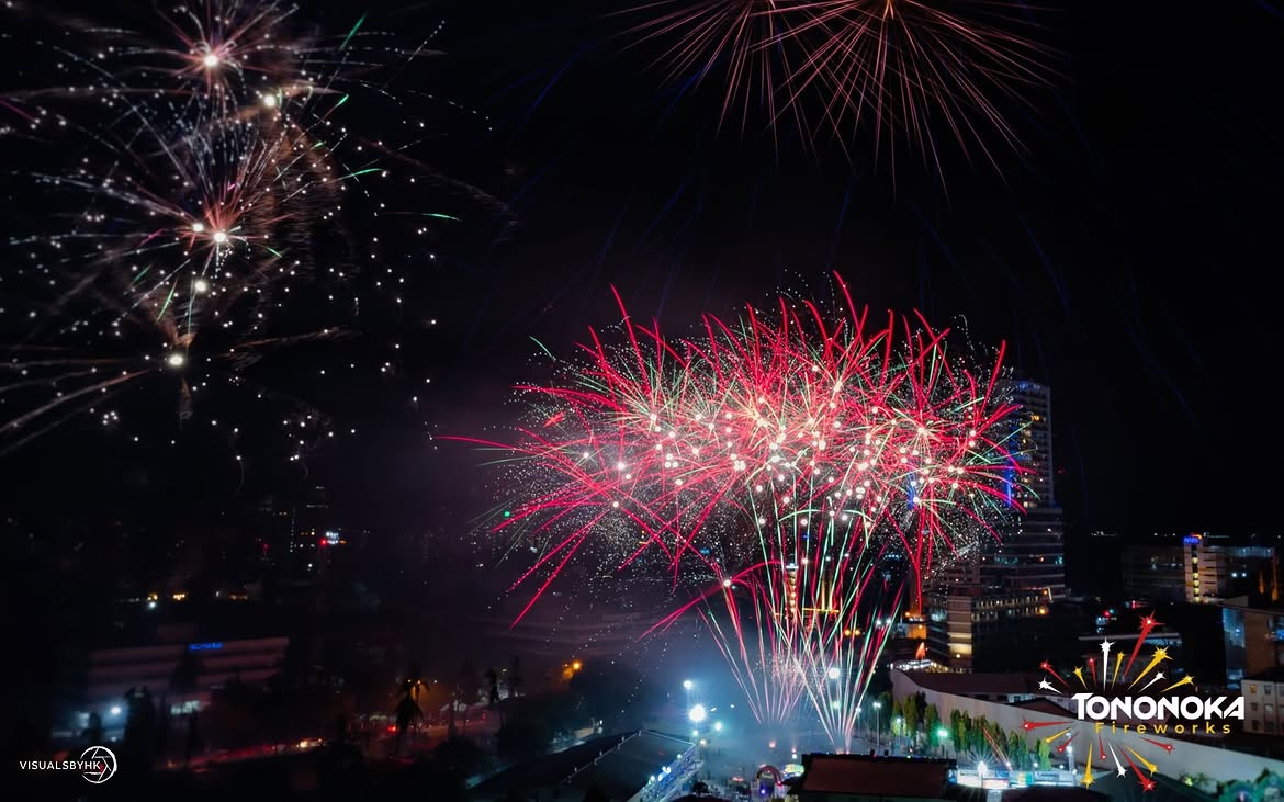 Vibrant fireworks bursting in colour over a night sky in Tanzania
