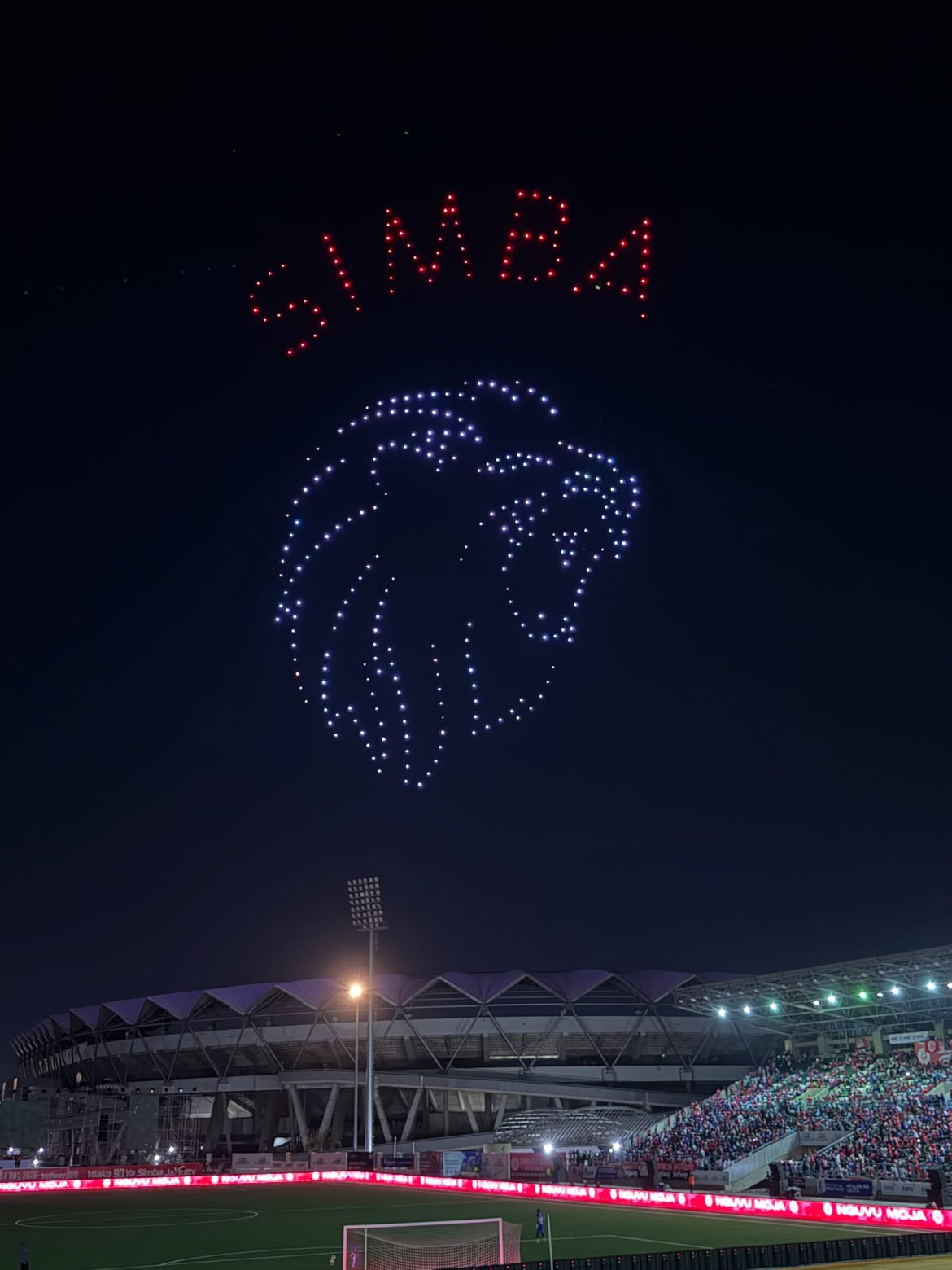 Crowd watching pyrotechnics at Simba Day